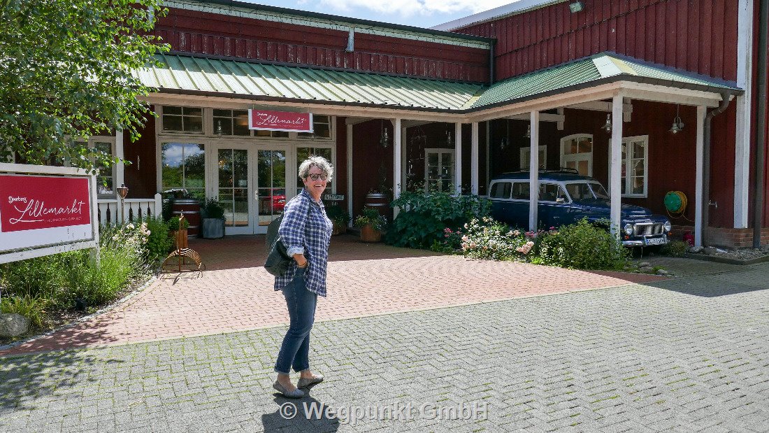 Frau bereit zum Shoppen